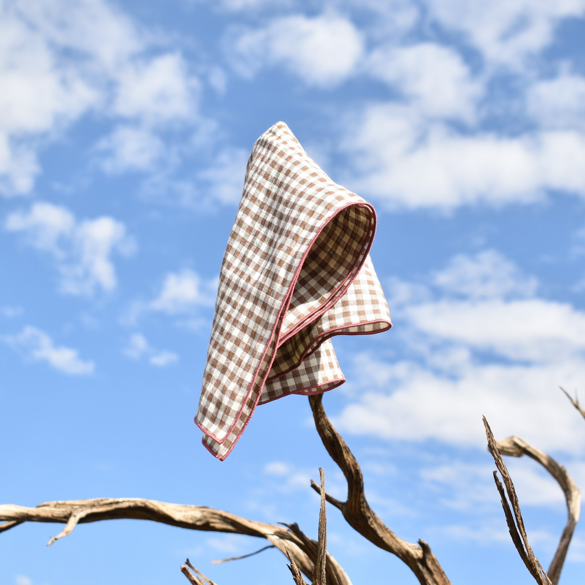 The Madres On Screen Napkin Set
