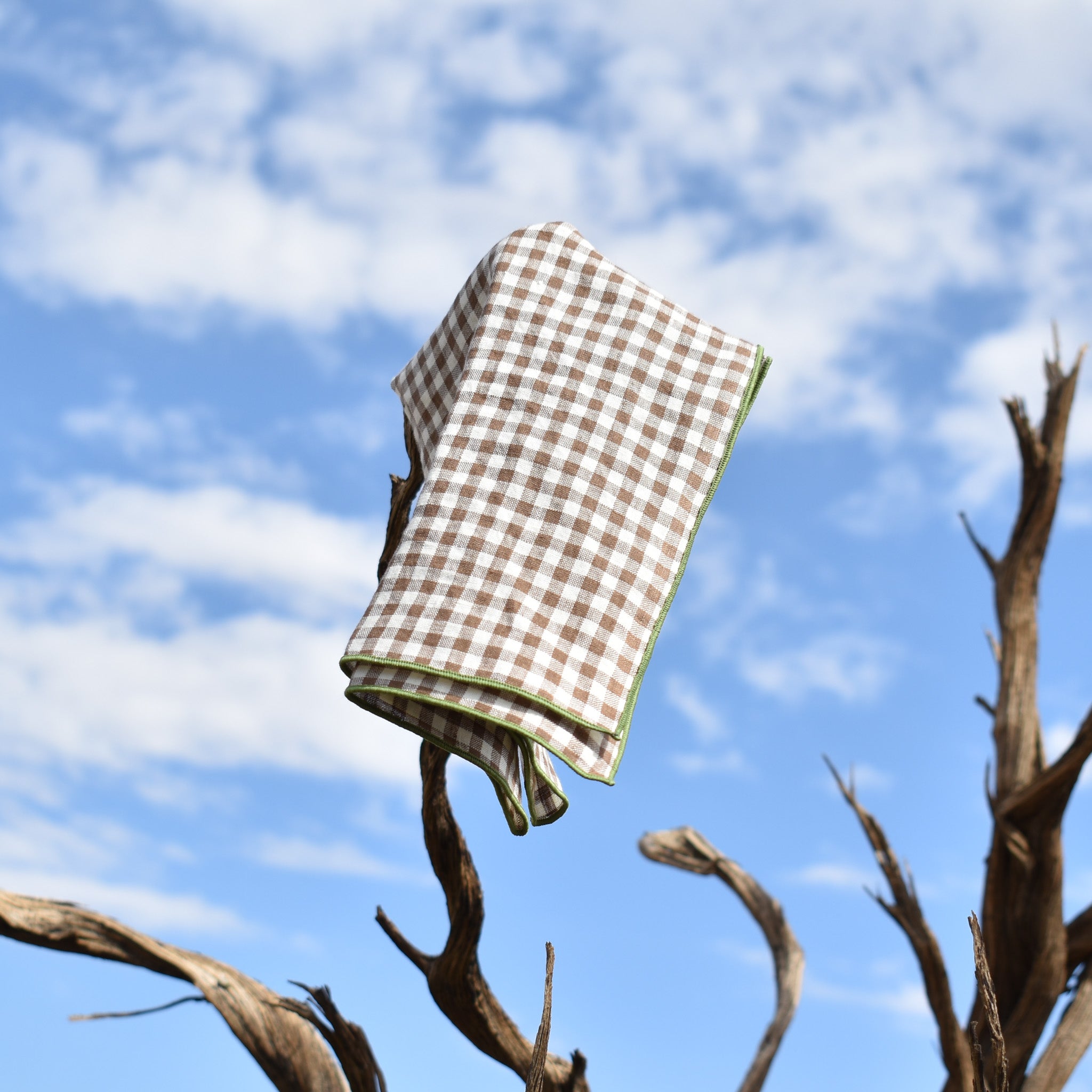 The Madres On Screen Napkin Set